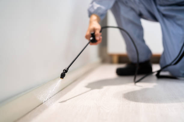 Licensed Pest Control service in Brea, CA - Nex Pest Control