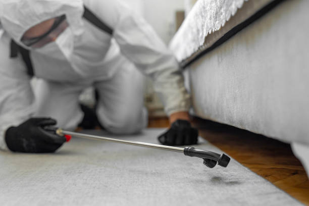 Professional Pest Control technician working in Brea, CA