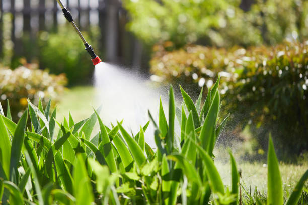 24/7 Emergency Rodent Control experts in Brea, CA