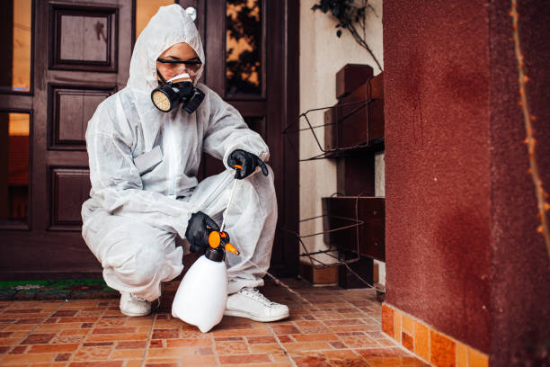 Reliable Rodent Control contractor in Brea, CA by Nex Pest Control